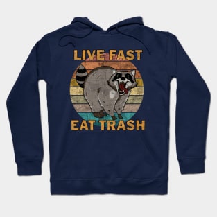 Raccoon - Live Fast Eat Trash Hoodie